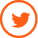 twitter icon