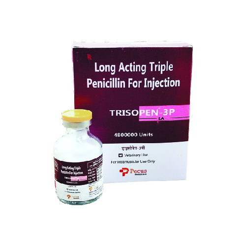 Trisopen 3P Inj Long Acting Triple Penicillin Inj Pecus Healthcare trisopen-3p-inj-long-acting-triple-penicillin-inj-pecus-healthcare
