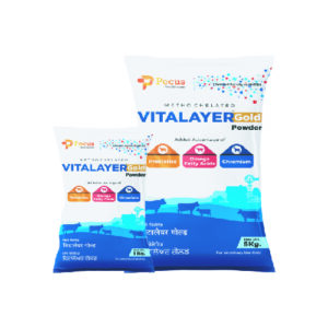 Vitalayer