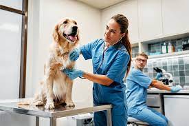 Top Veterinary Distributors in Kochi