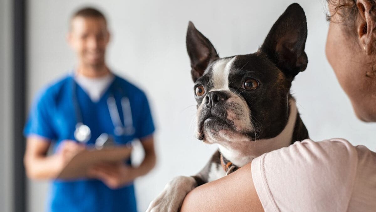 Top Veterinary Distributors in Kannur