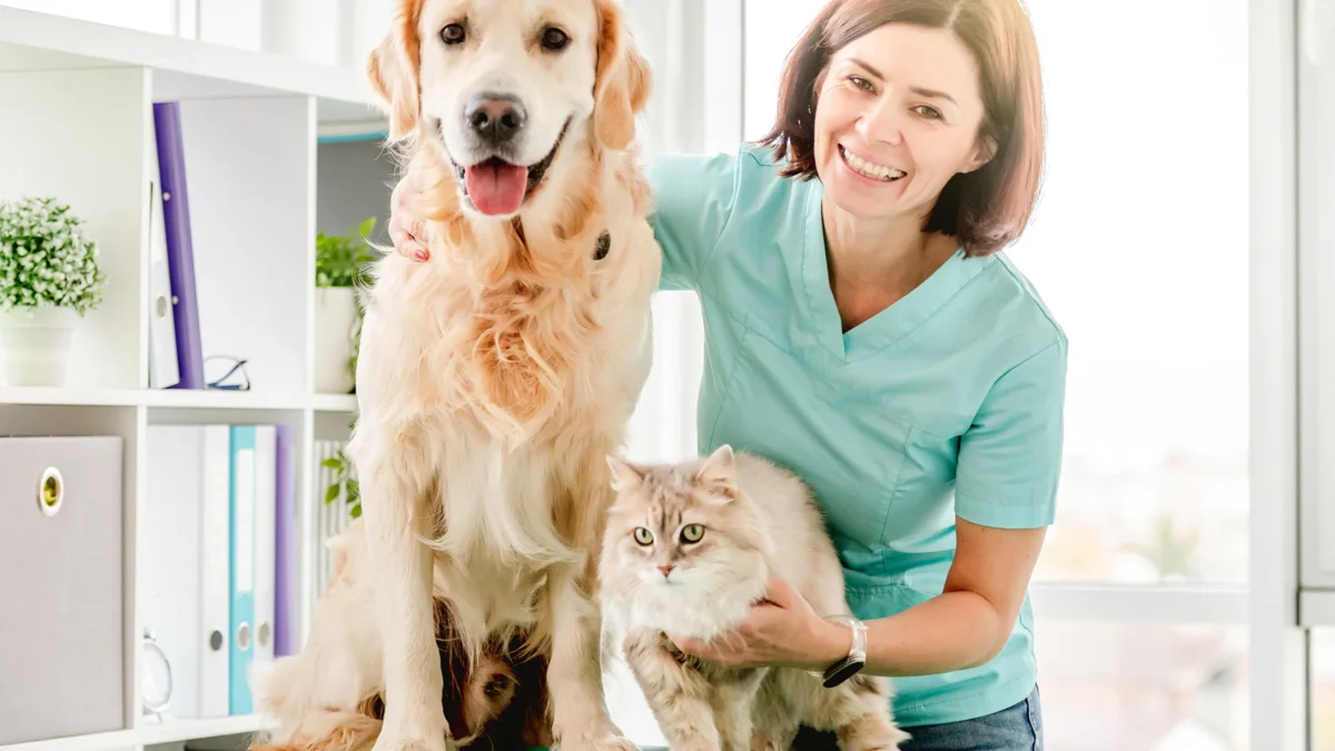 Top 10 Veterinary Companies in Arunachal Pradesh