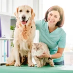Top 10 Veterinary Companies in Arunachal Pradesh