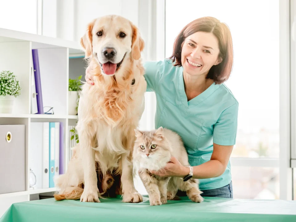 Top 10 Veterinary Companies in Arunachal Pradesh