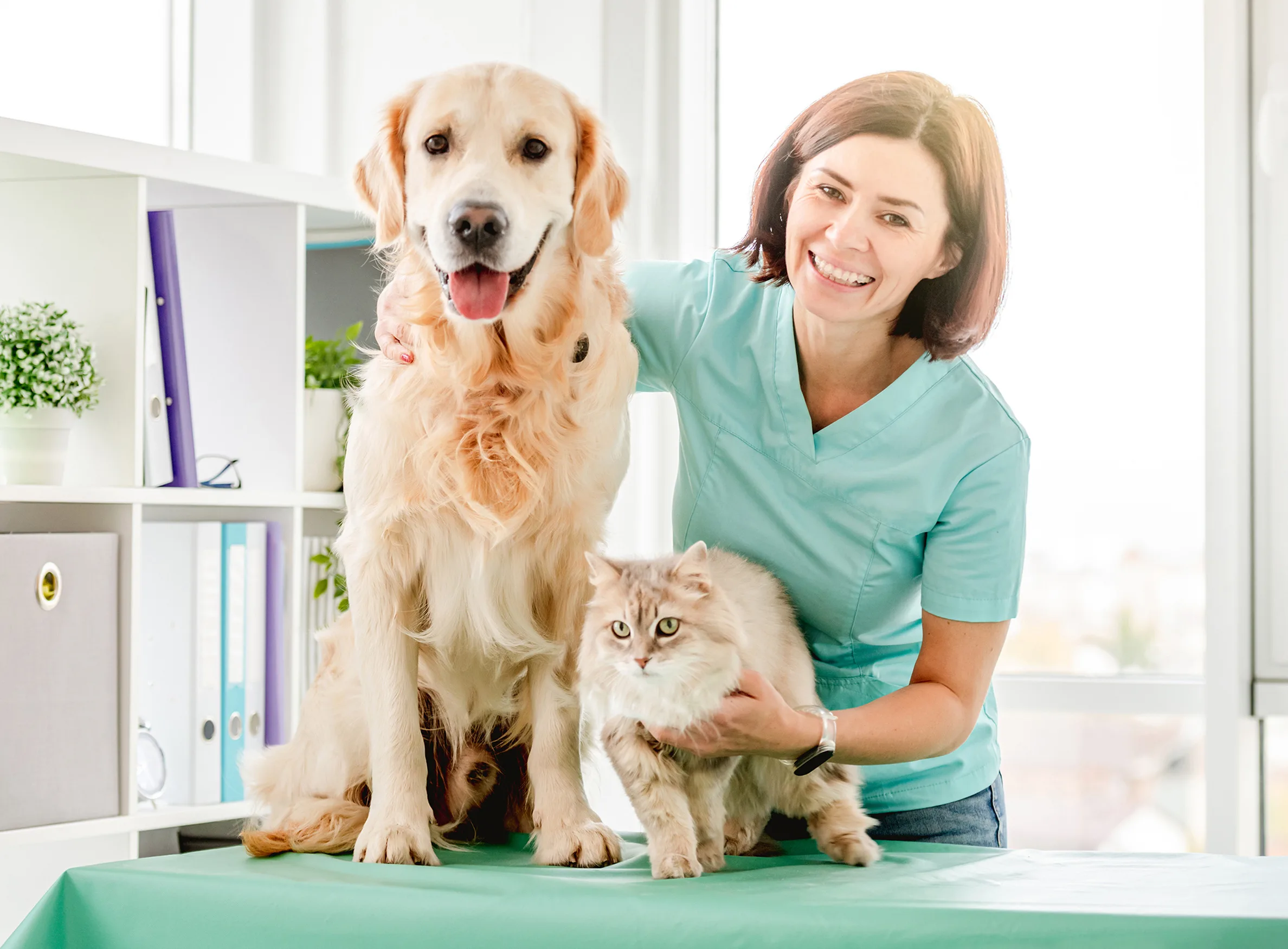Top 10 Veterinary Companies in Arunachal Pradesh