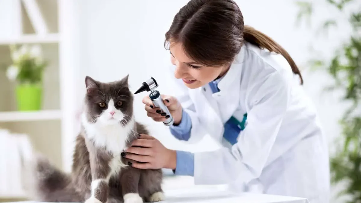 Top 10 Veterinary Companies in Assam