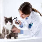Top 10 Veterinary Companies in Assam