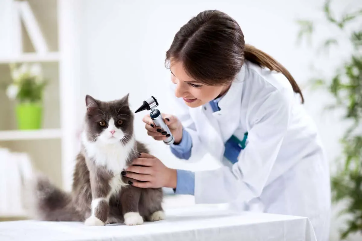 Top 10 Veterinary Companies in Assam