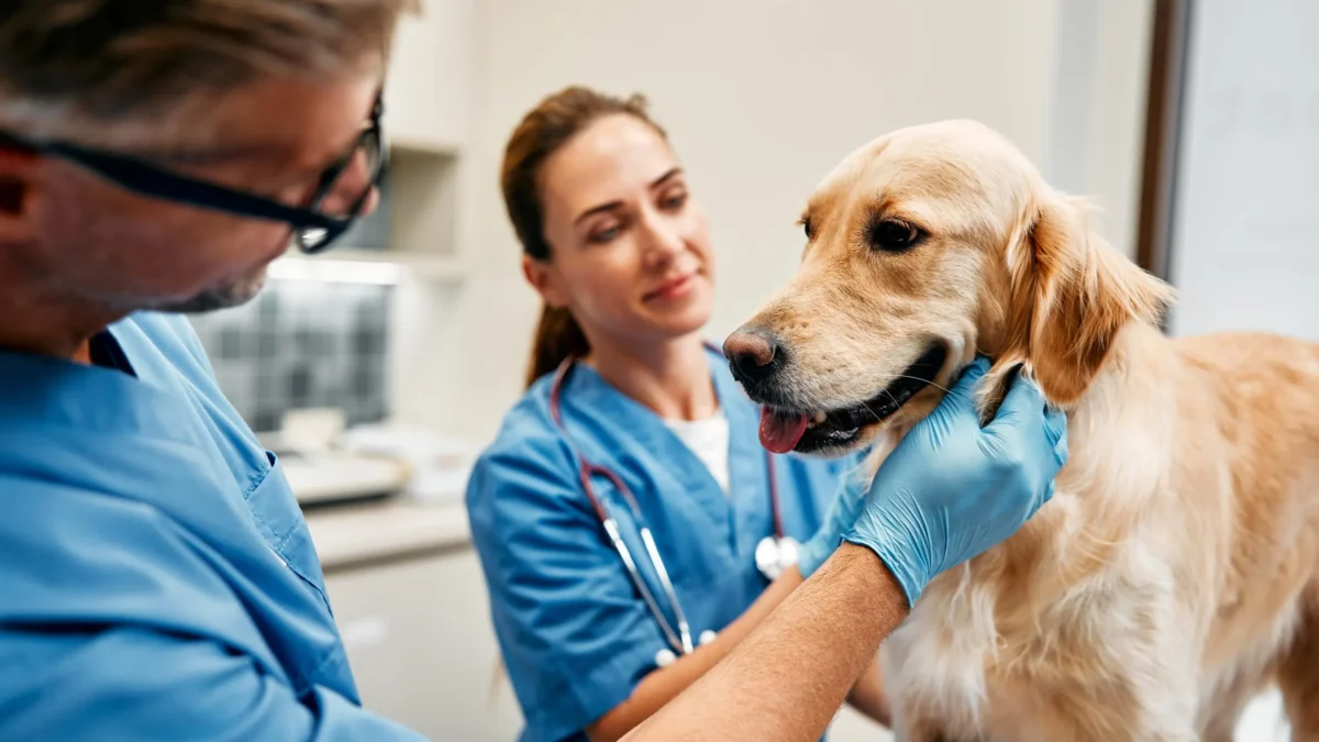 Top 10 Veterinary Companies in Madhya Pradesh