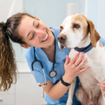 Top 10 Veterinary PCD Companies in India