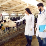 Top 10 Veterinary Distributors in Bihar