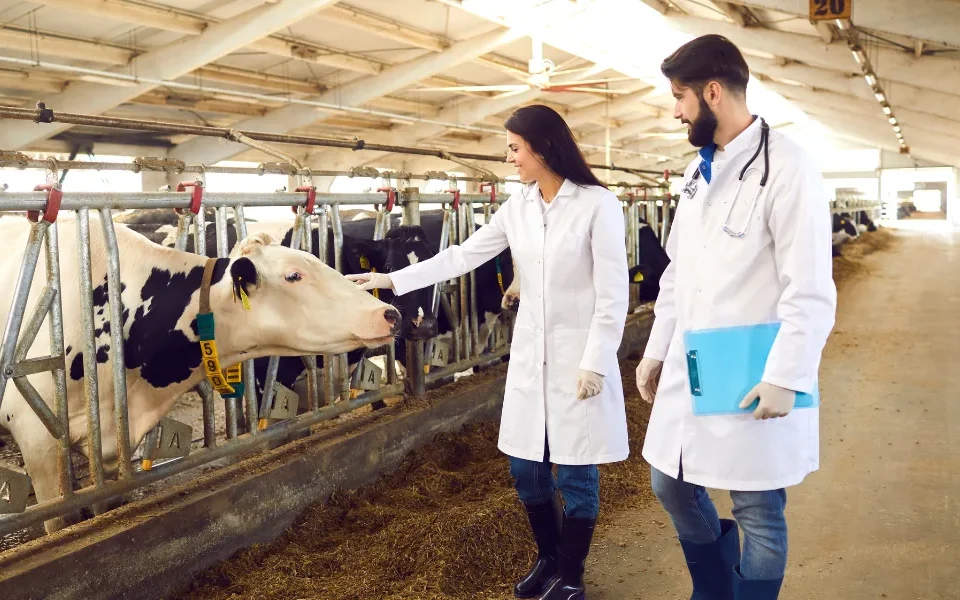 Top 10 Veterinary Distributors in Bihar
