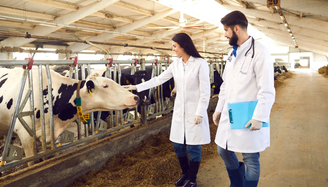 Top 10 Veterinary Distributors in Bihar