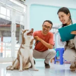 Top 10 Veterinary Distributors in Haryana