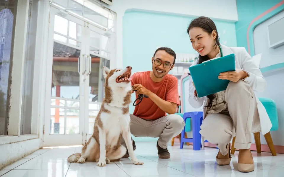 Top 10 Veterinary Distributors in Haryana
