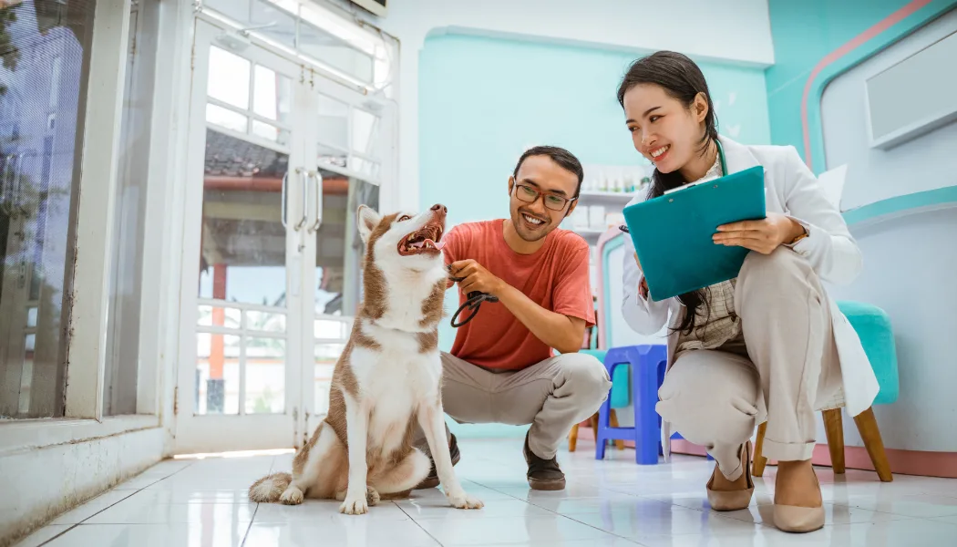 Top 10 Veterinary Distributors in Haryana