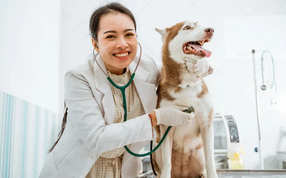 Top 10 Veterinary Distributors in Odisha