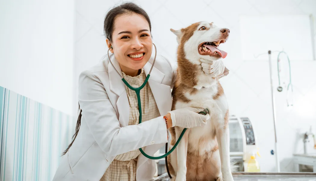 Top 10 Veterinary Distributors in Odisha
