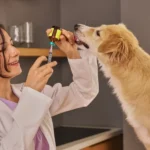 Top 10 Veterinary Distributors in Rajasthan