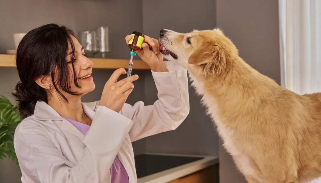 Top 10 Veterinary Distributors in Rajasthan
